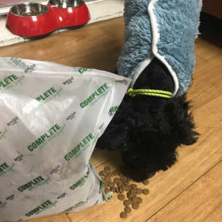 진미님이 올린 리뷰 사진 4