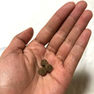 루우가님이 올린 리뷰 사진 2