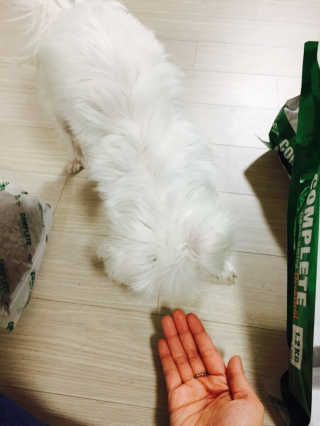 상큼슈님이 올린 리뷰 사진 1