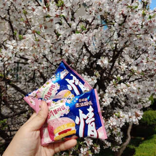 러브캣님이 올린 리뷰 사진 1