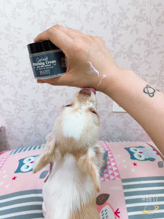 채리야님이 올린 리뷰 사진 3
