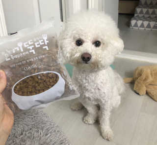 펫토리아 한끼뚝딱 클래식 강아지 건식사료 — 5점을 준 리뷰어가 2019년 4월 올린 사용 사진