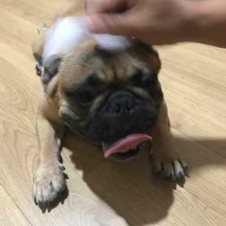 따리님이 올린 리뷰 사진 1