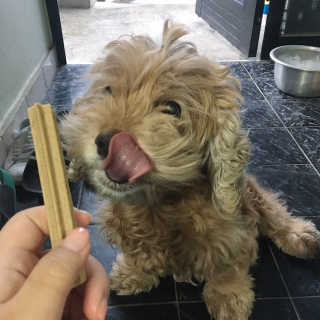 화쀼님이 올린 리뷰 사진 2