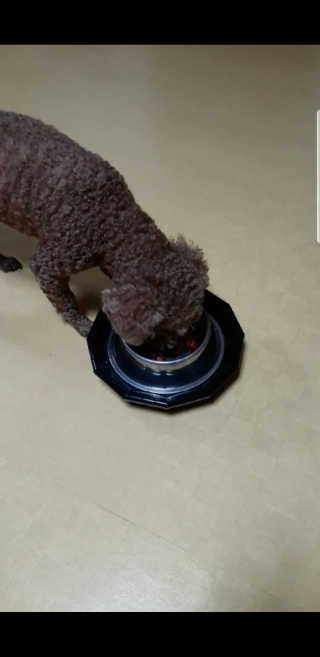 짱아둥이님이 올린 리뷰 사진 2