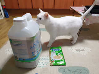 eappi님이 올린 리뷰 사진 2
