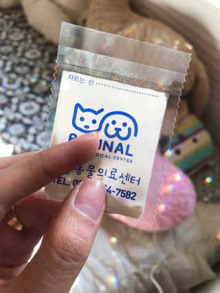 [빙그레] 에버그로 생유산균 1봉（10포입）+펫밀크2팩 — 5점을 준 리뷰어가 2019년 5월 올린 사용 사진