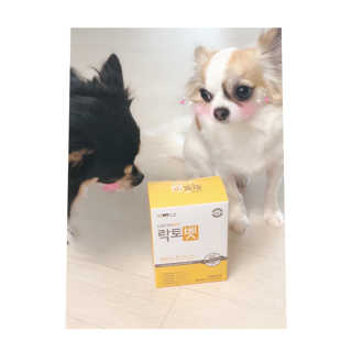 은쓸님이 올린 리뷰 사진 1