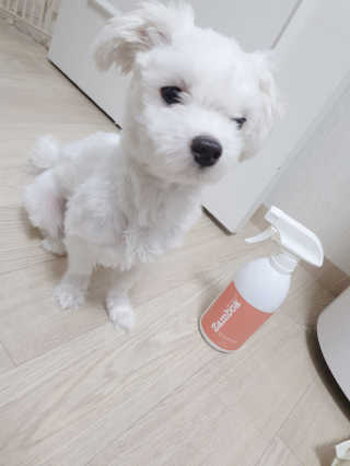 박미진님이 올린 리뷰 사진 1
