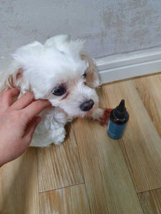 썬썬님이 올린 리뷰 사진 4