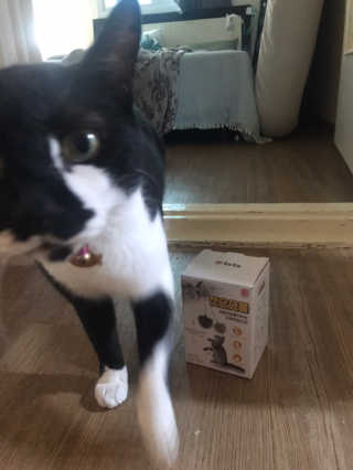 freakinthesheetmask님이 올린 리뷰 사진 2