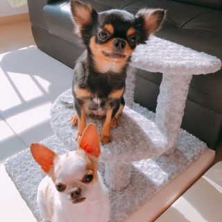 뚜리뚜치님이 올린 리뷰 사진 4