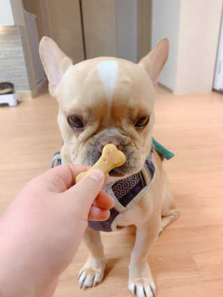 이은향님이 올린 리뷰 사진 2