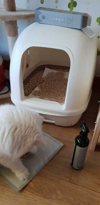영니님이 올린 리뷰 사진 1