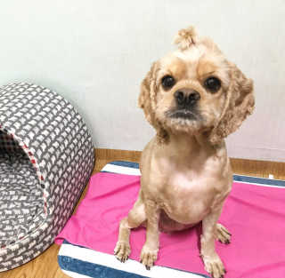 햄337님이 올린 리뷰 사진 4