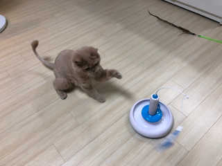 SolheeNamgoong님이 올린 리뷰 사진 1