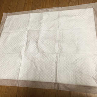 펫토리아 한장뚝딱 NEW 프리미엄 국내산 배변패드 — 4점을 준 리뷰어가 2019년 5월 올린 사용 사진