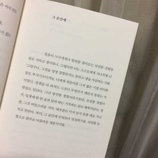 서서히 서서히 그러나 반드시 리뷰 사진