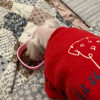 박선영님이 올린 리뷰 사진 1