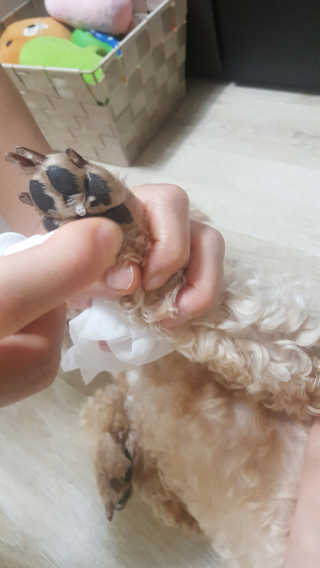 최난섭님이 올린 리뷰 사진 1