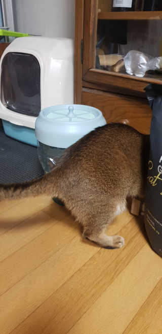 반짝님이 올린 리뷰 사진 2