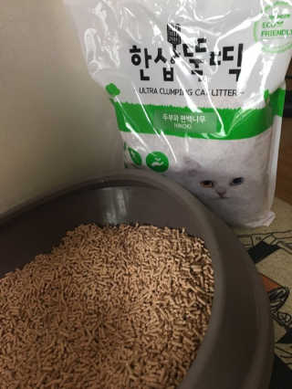 [펫토리아] BEST 고양이두부모래 6L 한삽뚝딱 — 5점을 준 리뷰어가 2019년 2월 올린 사용 사진
