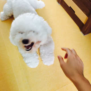 남지윤님이 올린 리뷰 사진 3
