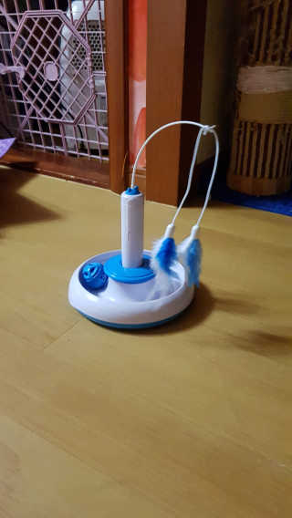 이영실님이 올린 리뷰 사진 1