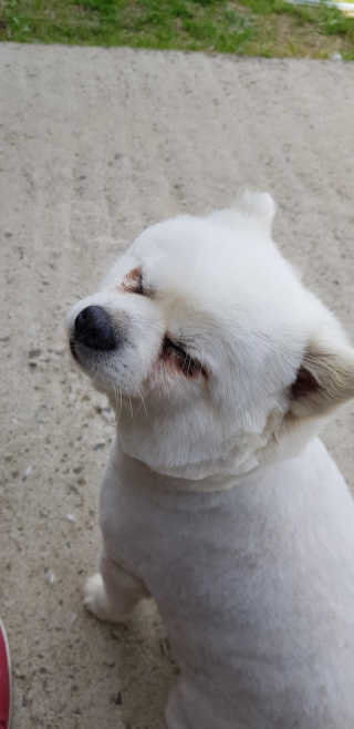 주짱님이 올린 리뷰 사진 4