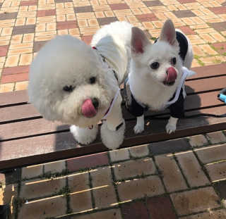 heeee님이 올린 리뷰 사진 3
