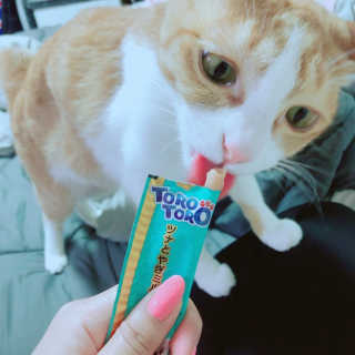 Honeyshop님이 올린 리뷰 사진 3