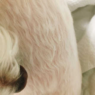 짓우님이 올린 리뷰 사진 2