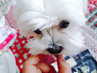 beanmom님이 올린 리뷰 사진 4