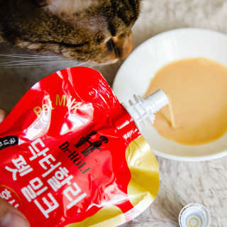 2019yaap님이 올린 리뷰 사진 3