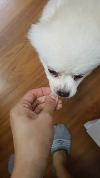 쭌쭌맘님이 올린 리뷰 사진 3