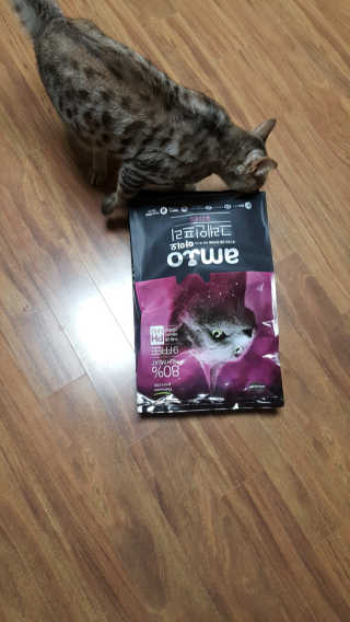 달님님이 올린 리뷰 사진 1