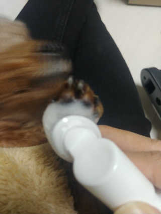 MijeongKim님이 올린 리뷰 사진 3