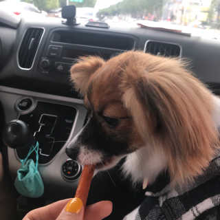 웅비님이 올린 리뷰 사진 4