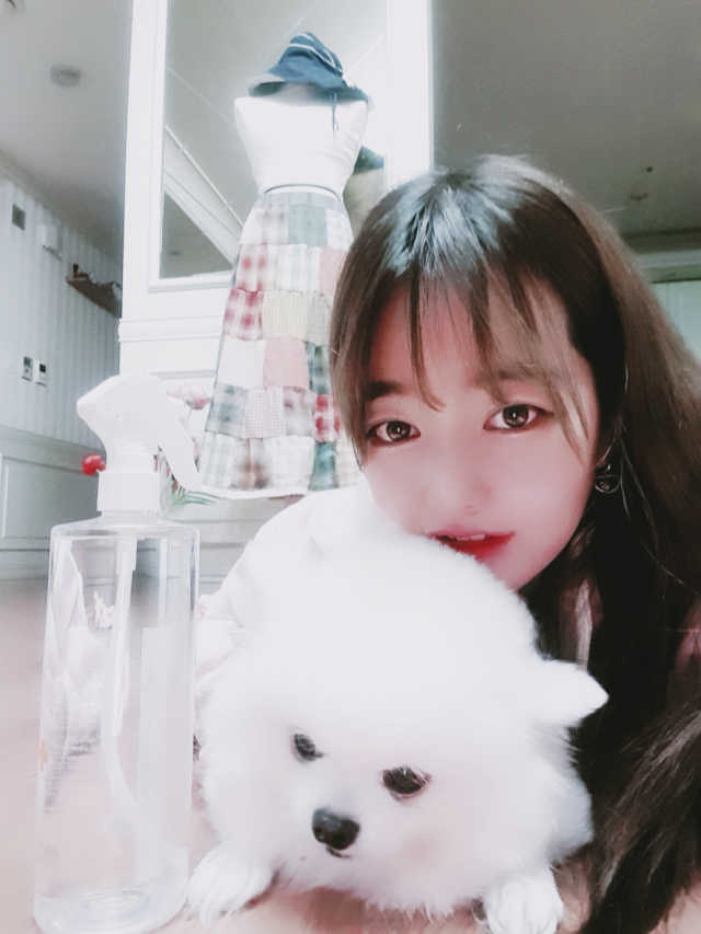 [펫토리아]살균뚝딱 강아지 고양이 살균소독제 탈취제 리뷰 사진