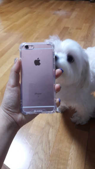 민콩님이 올린 리뷰 사진 1