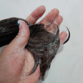 썽님이 올린 리뷰 사진 3