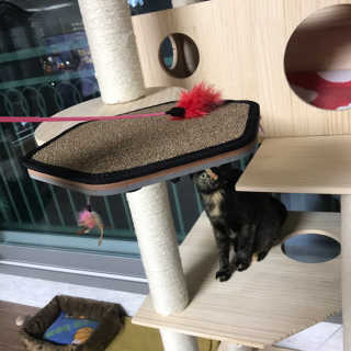 yallyyalla님이 올린 리뷰 사진 1