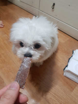전형준님이 올린 리뷰 사진 3