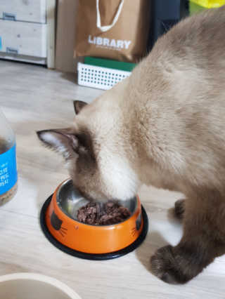 동원 참치킹 고양이 캔 12개입 — 4.83점을 준 리뷰어가 2018년 10월 올린 사용 사진
