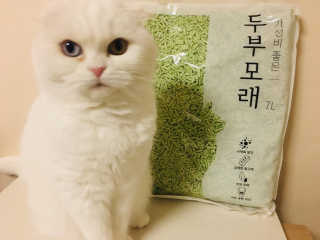 화이집사님이 올린 리뷰 사진 1