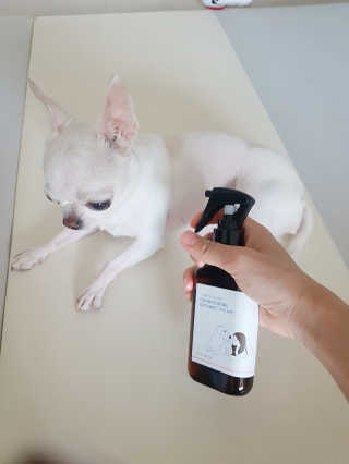 이선영님이 올린 리뷰 사진 2