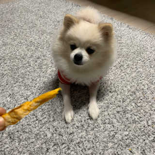 mmmmiya님이 올린 리뷰 사진 1
