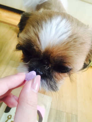 장시은님이 올린 리뷰 사진 1