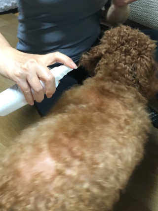 징지님이 올린 리뷰 사진 3