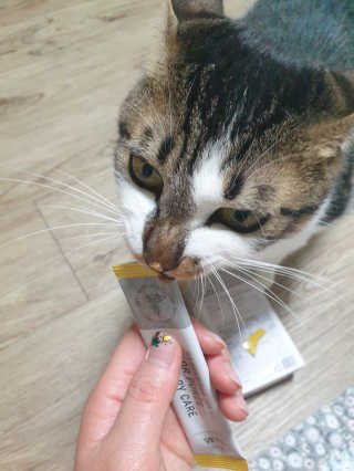 황선영님이 올린 리뷰 사진 4